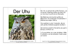 Mini-Buch-Uhu-Steckbrief.pdf